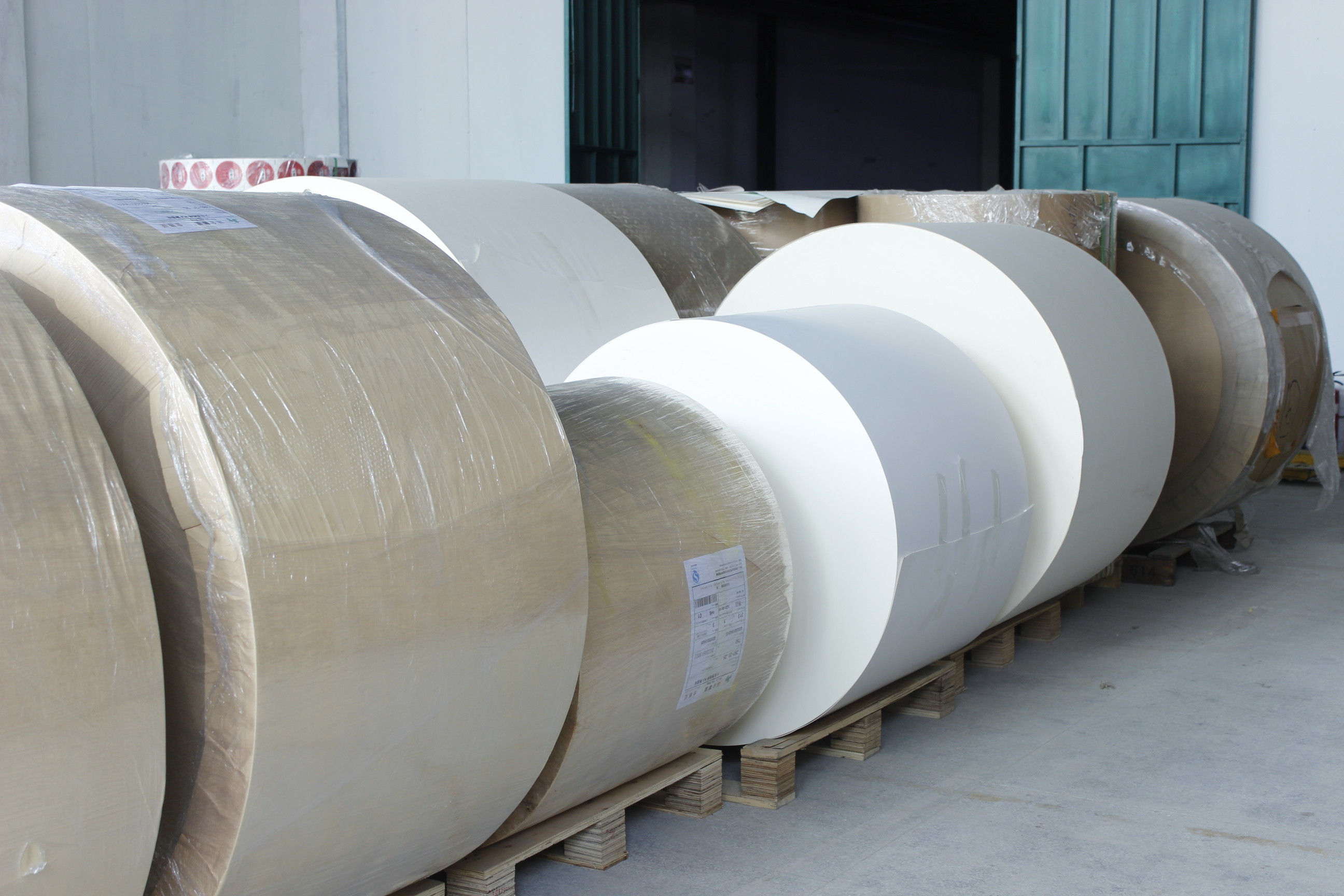 Chiny Guangzhou Victory Paper Products Co., Ltd. profil firmy